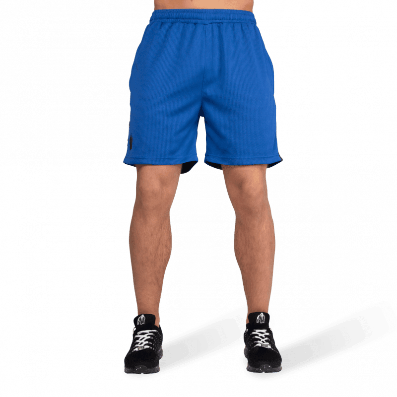 Reydon Mesh Shorts - Blue - Image 2