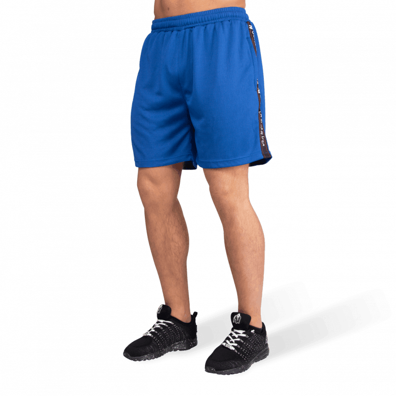 Reydon Mesh Shorts - Blue