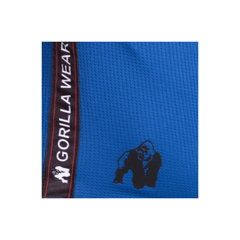 Reydon Mesh Shorts - Blue - Image 4