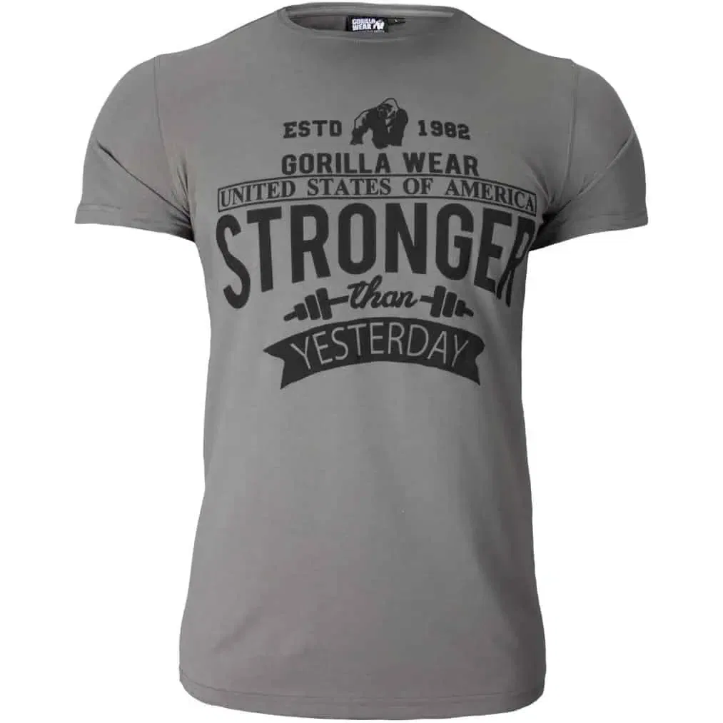 Hobbs T-shirt - Gray