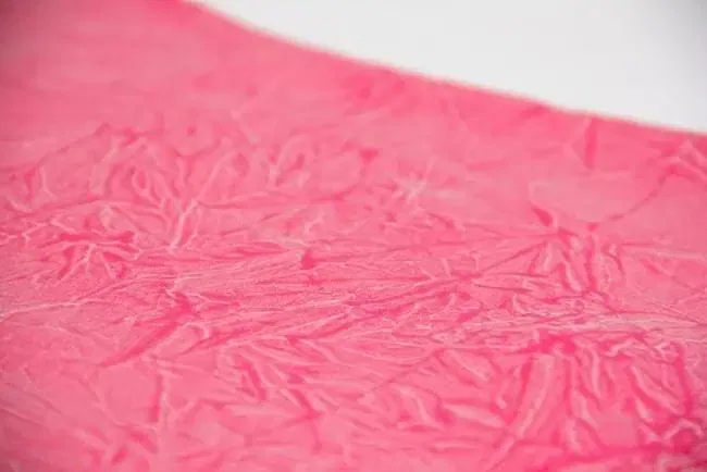 Camden T-shirt - Pink - Image 4