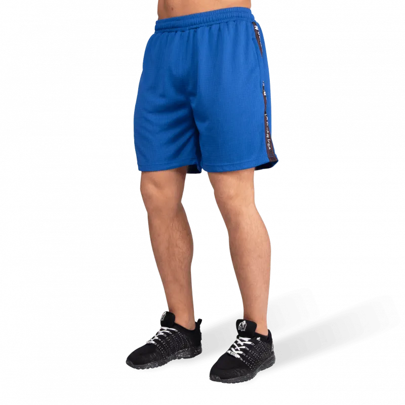 Reydon Mesh Shorts - Blue