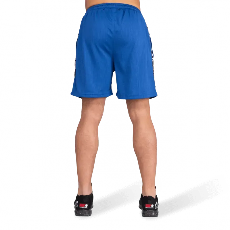Reydon Mesh Shorts - Blue - Image 3