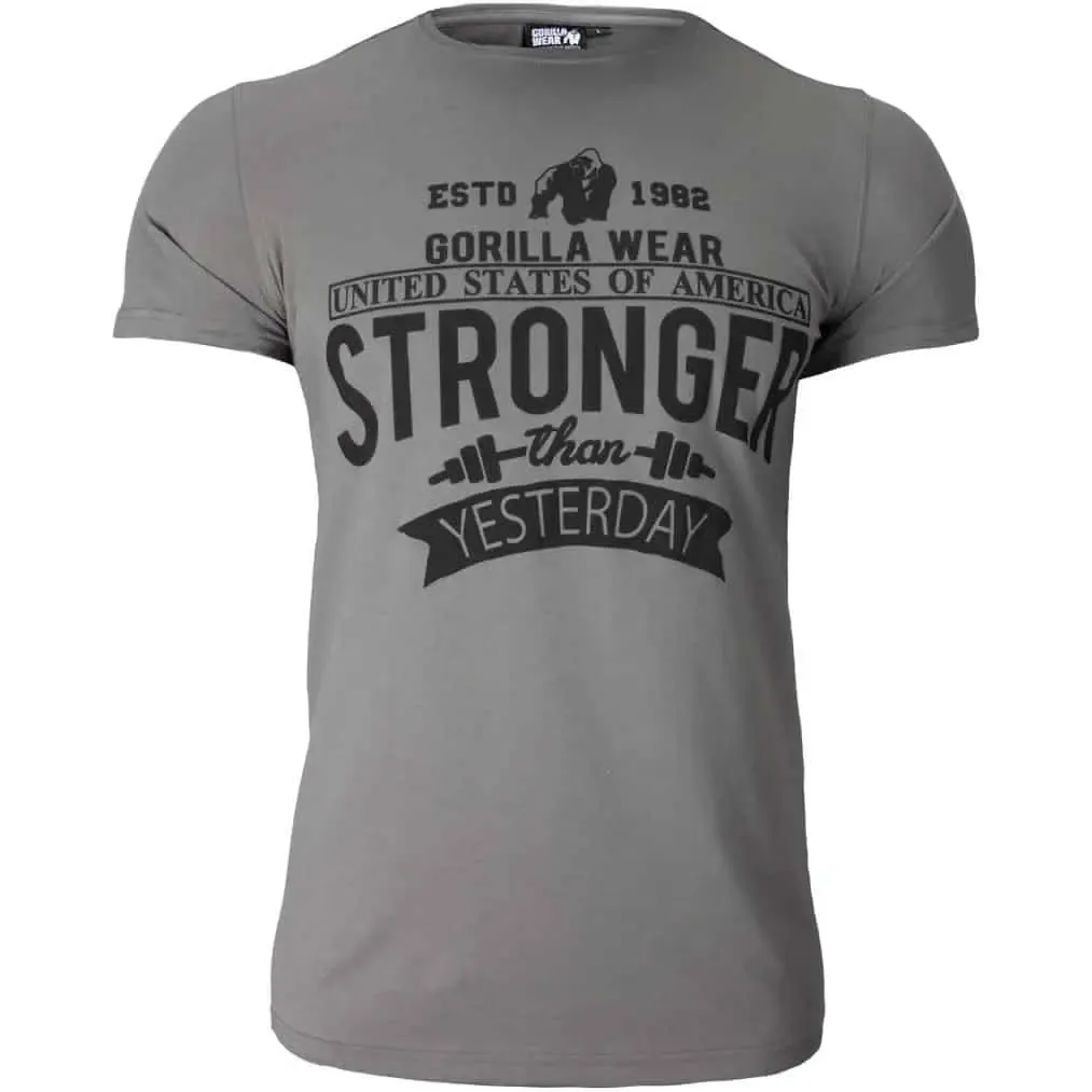 Hobbs T-shirt - Gray