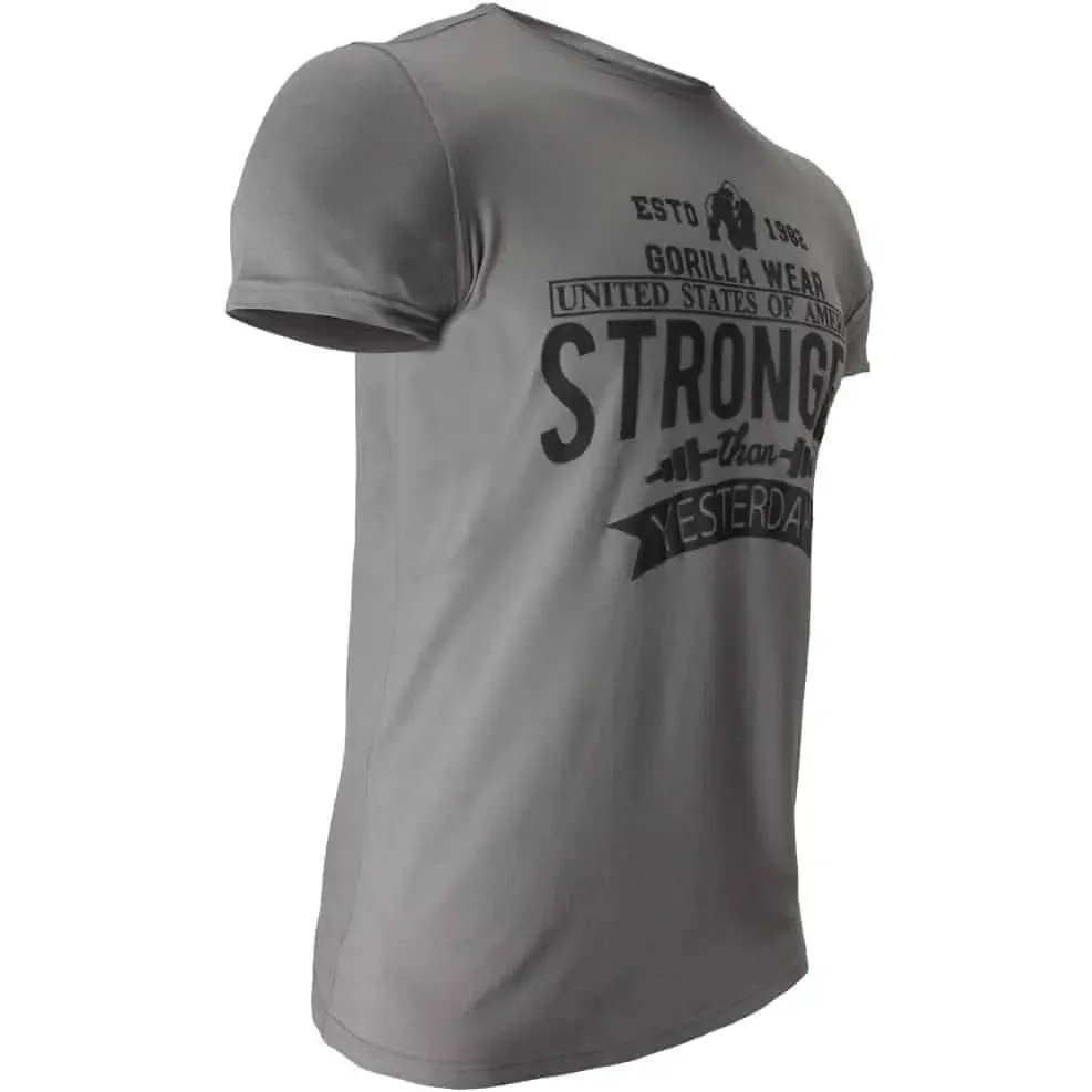 Hobbs T-shirt - Gray - Image 2